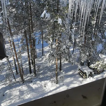 Apartamento Centar 1 *